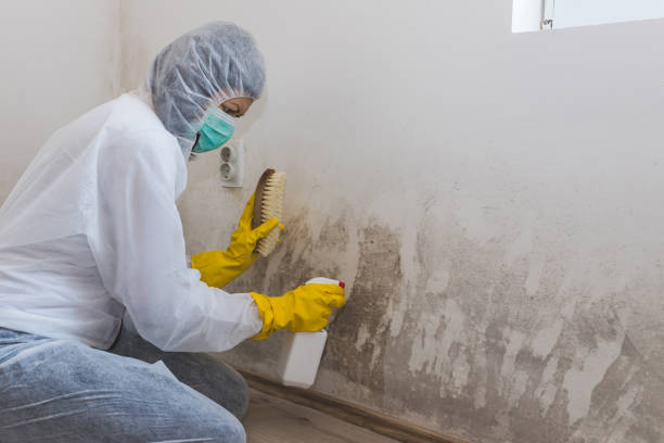 Best Airborne Mold Testing  in Prceton, IN