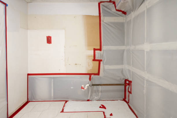 Best Mold Prevention Services  in Prceton, IN