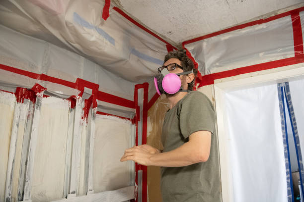 Best Attic Mold Removal  in Prceton, IN