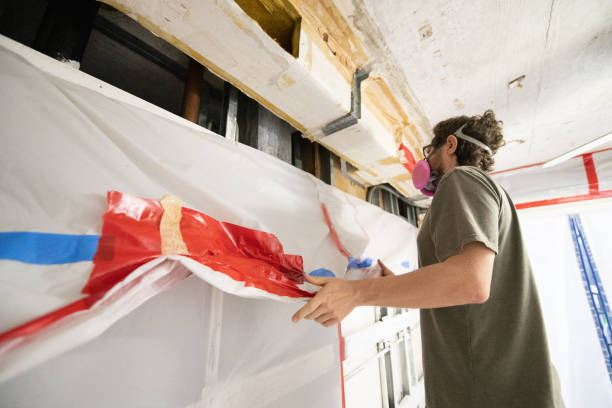Best Post-Construction Mold Inspection  in Prceton, IN