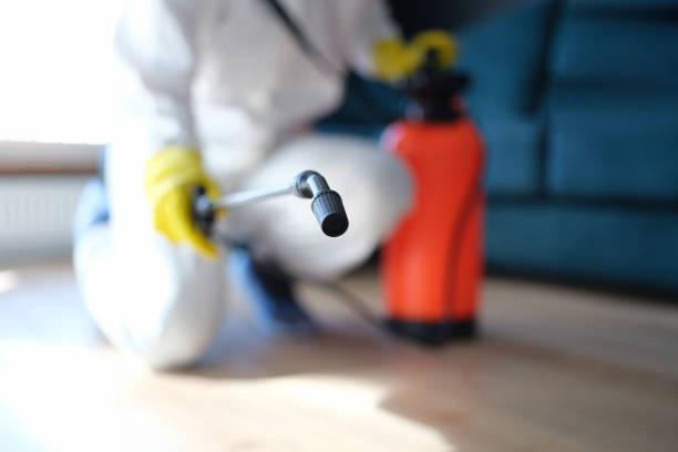 Best Dehumidification Services  in Prceton, IN