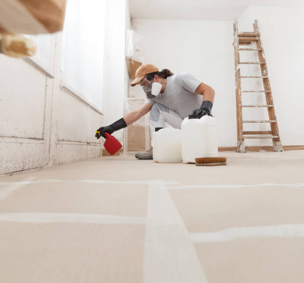 Best Water Damage & Mold Remediation  in Prceton, IN